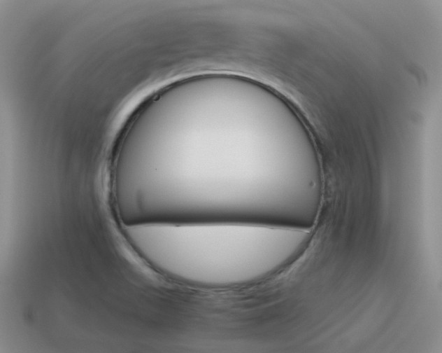 X0000115601511200911100941
