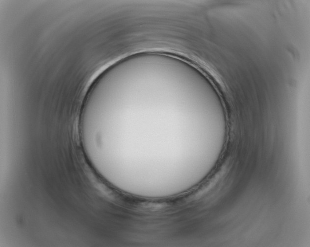 X0000115601513200911100941