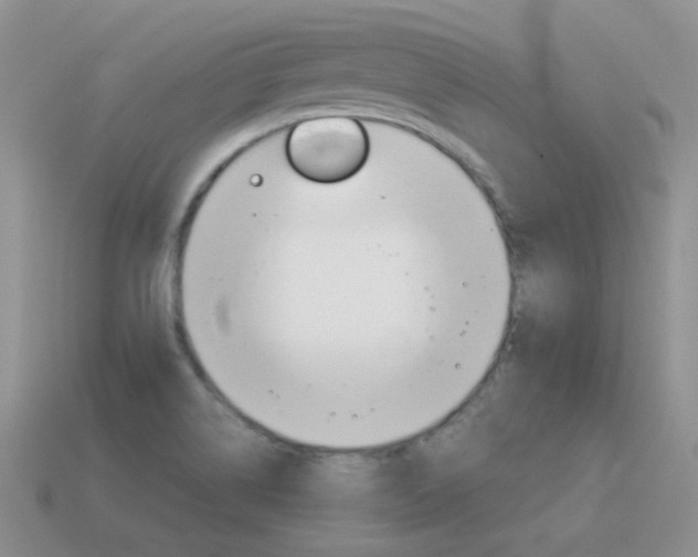 X0000115601514200911100941