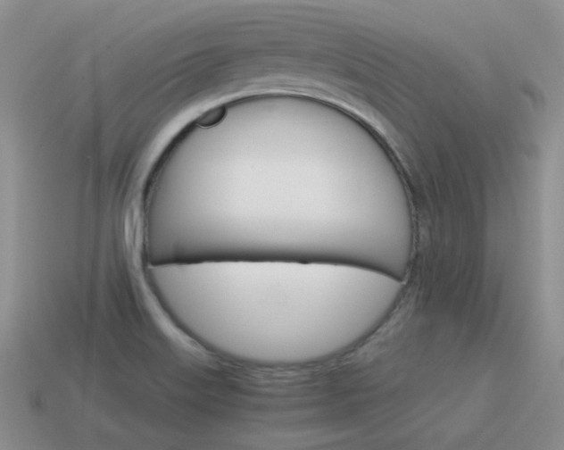 X0000115601515200911100941