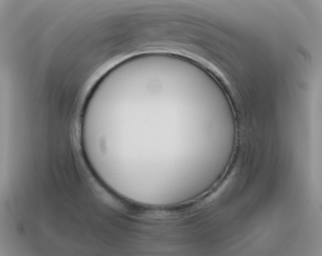 X0000115601517200911100941