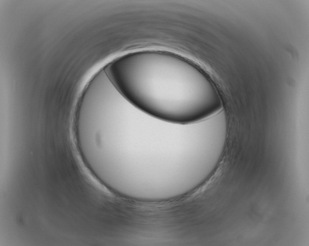X0000115601518200911100941