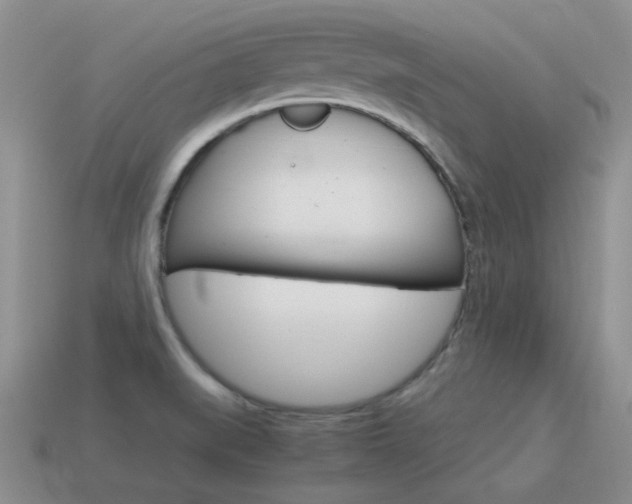 X0000115601519200911100941