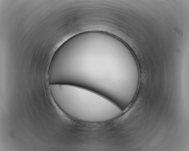 X0000115601521200911100941