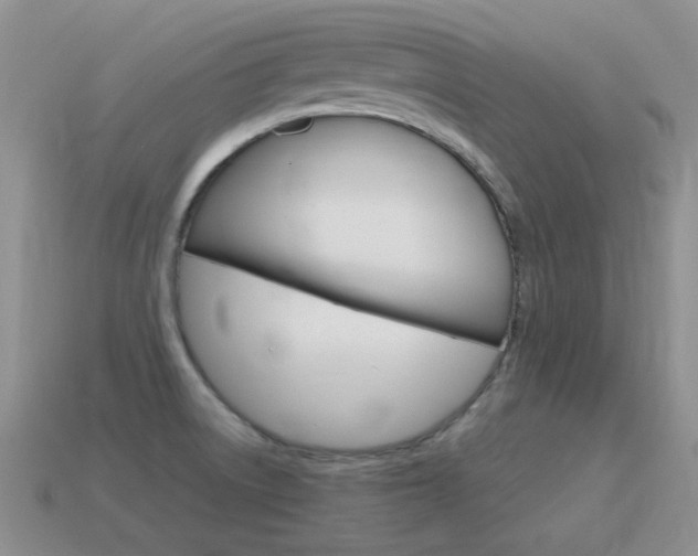 X0000115601522200911100941