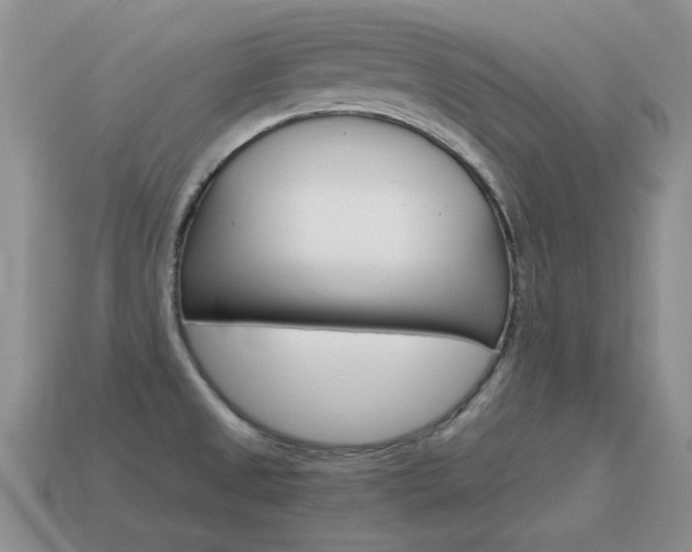 X0000115601525200911100941