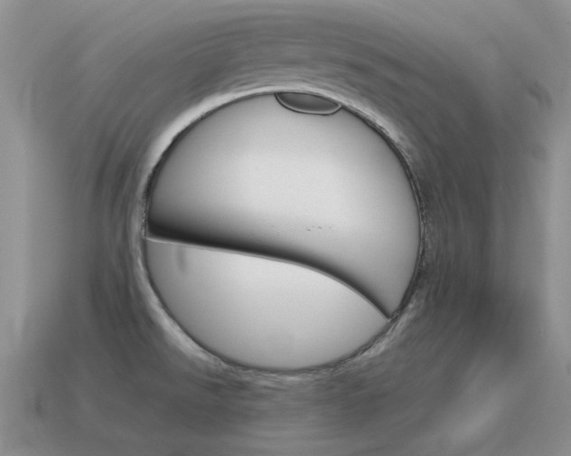 X0000115601526200911100941