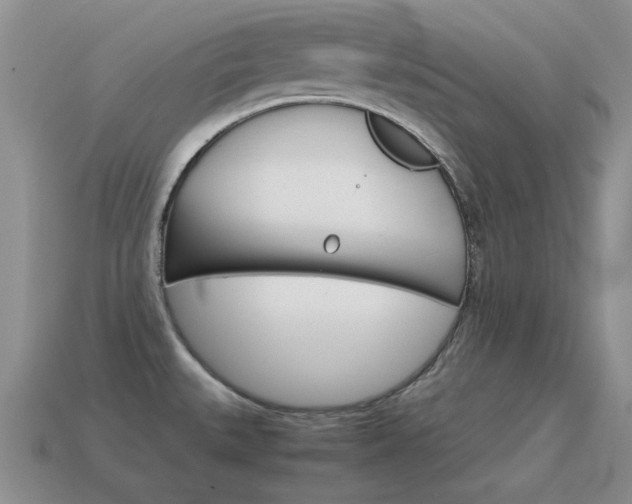 X0000115601527200911100941