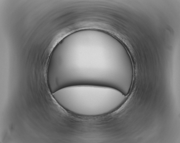 X0000115601529200911100941