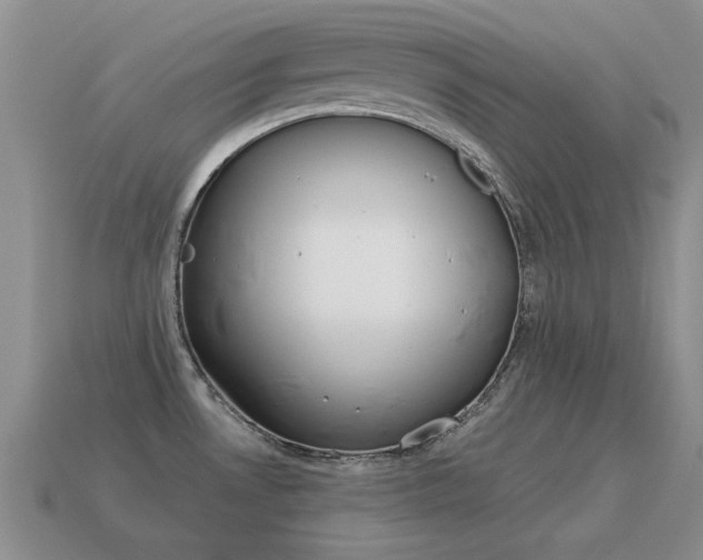 X0000115601530200911100941