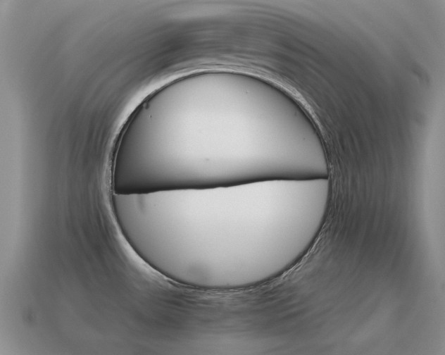 X0000115601531200911100941