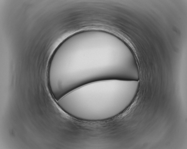 X0000115601533200911100941