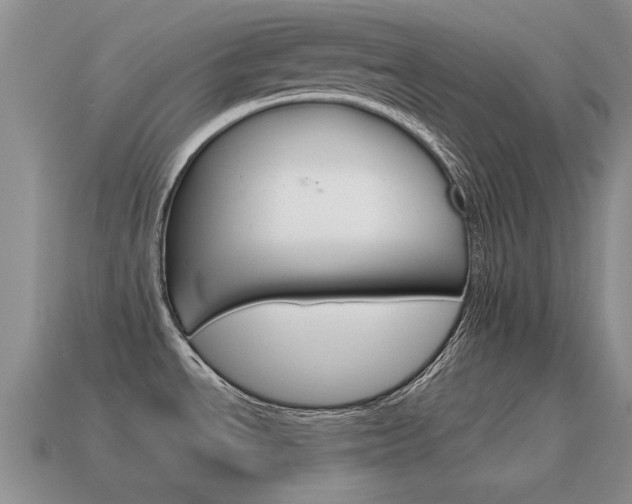 X0000115601534200911100941
