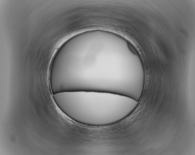 X0000115601535200911100941