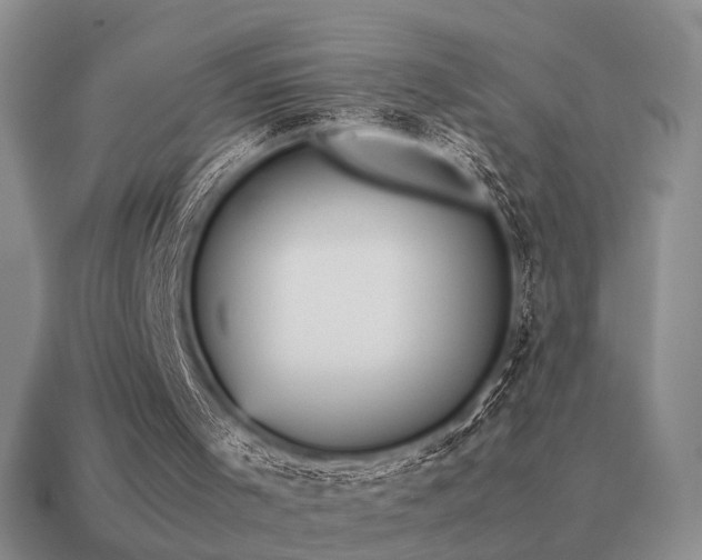 X0000115600001200911101416