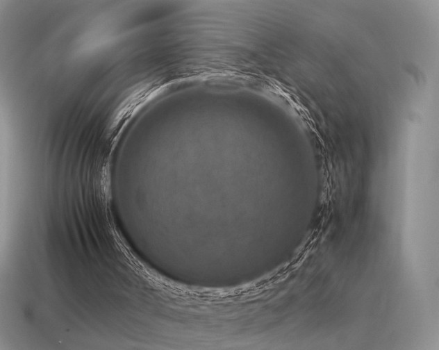 X0000115600002200911101416