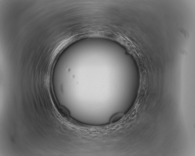 X0000115600003200911101416