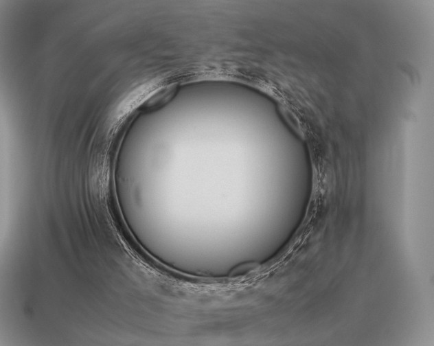 X0000115600005200911101416