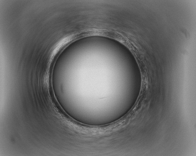 X0000115600006200911101416