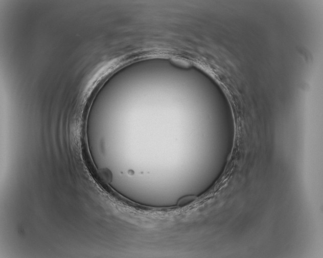 X0000115600007200911101416