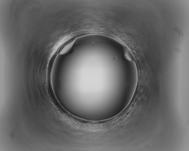 X0000115600008200911101416