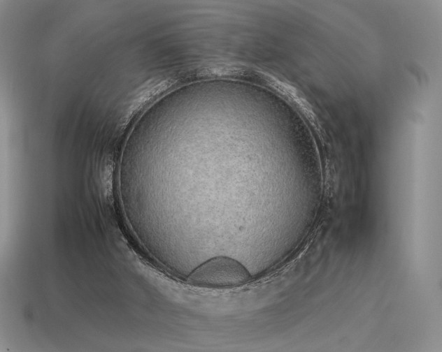 X0000115600010200911101416