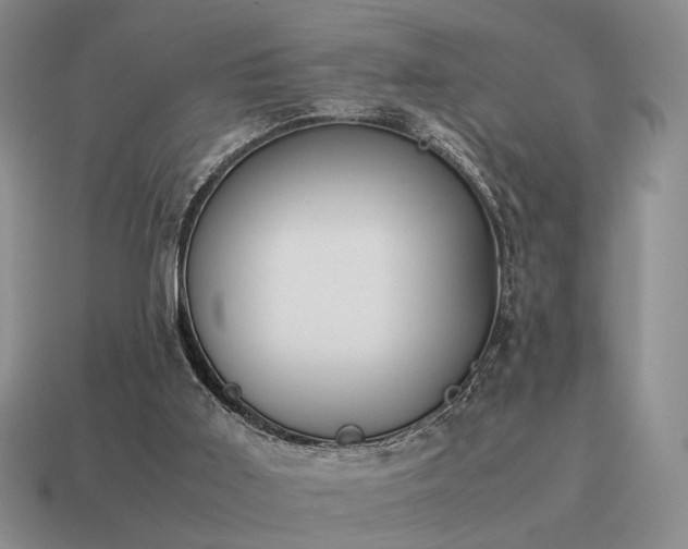 X0000115600011200911101416