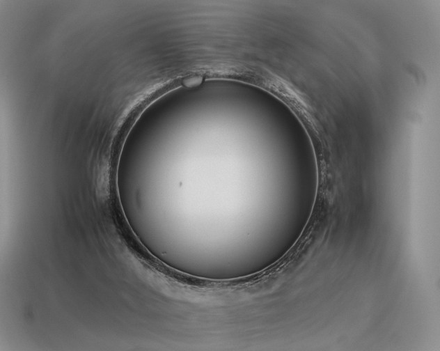 X0000115600012200911101416