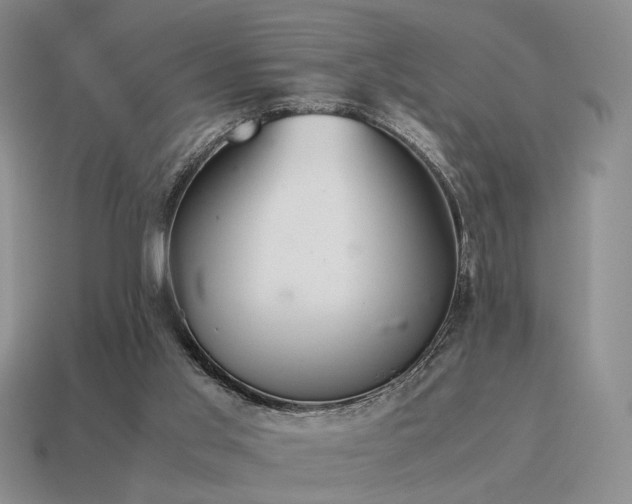 X0000115600013200911101416