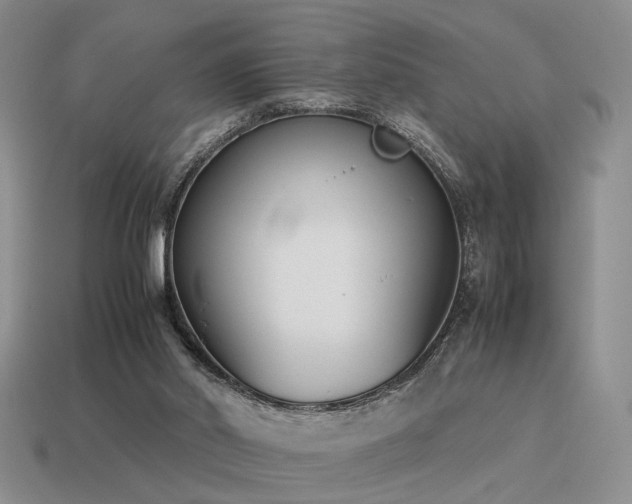 X0000115600014200911101416