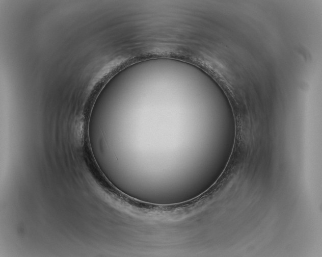 X0000115600016200911101416