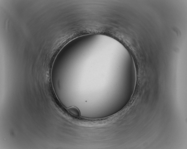 X0000115600017200911101416