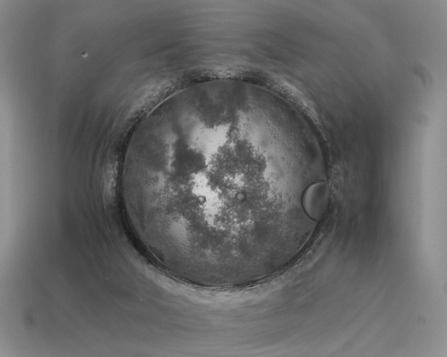 X0000115600018200911101416