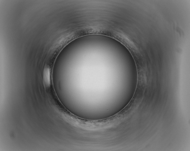 X0000115600022200911101415