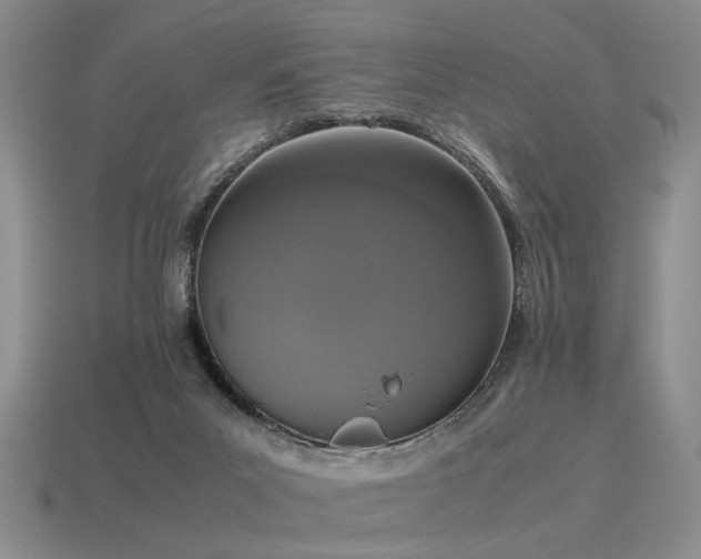 X0000115600023200911101415