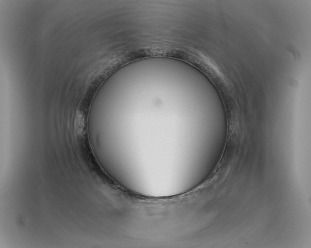 X0000115600025200911101415