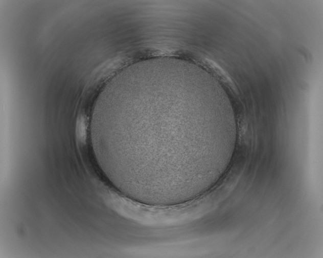 X0000115600026200911101415