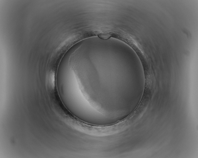 X0000115600027200911101415