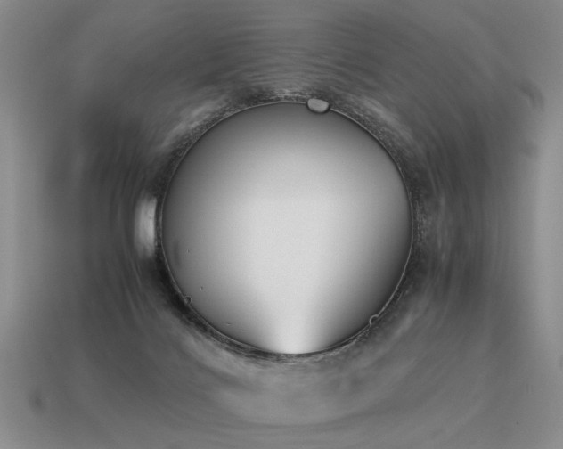 X0000115600028200911101415