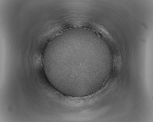 X0000115600029200911101415