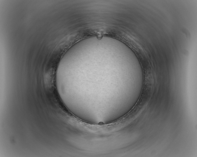 X0000115600030200911101415