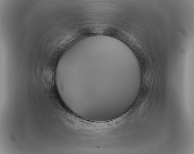 X0000115600031200911101415