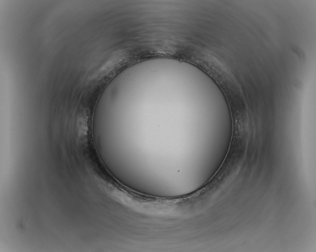 X0000115600032200911101415