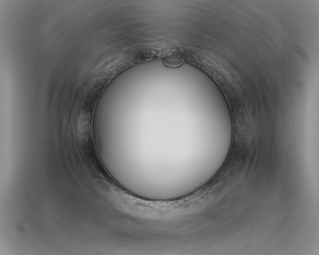 X0000115600034200911101415