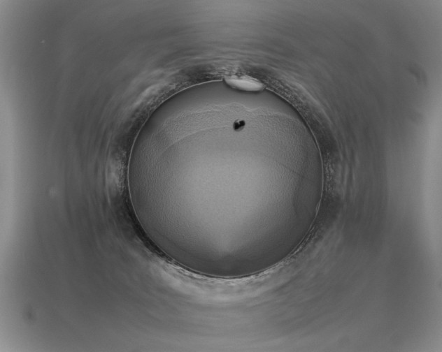 X0000115600035200911101415