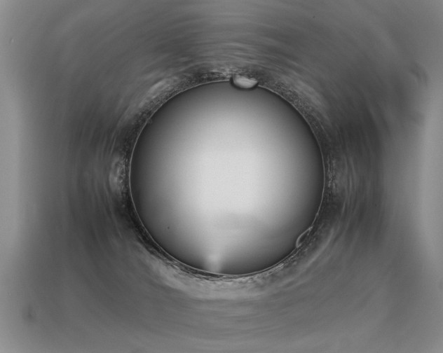 X0000115600036200911101415