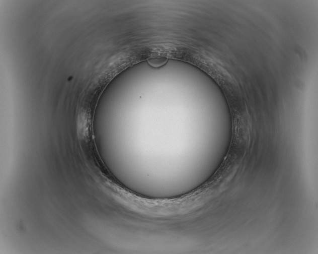 X0000115600038200911101415