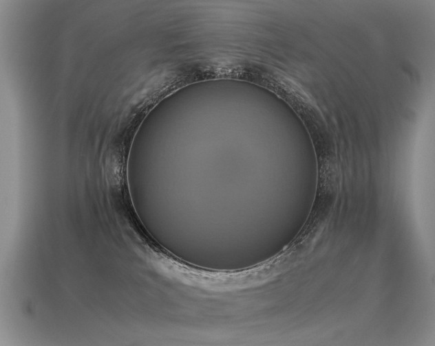 X0000115600039200911101415