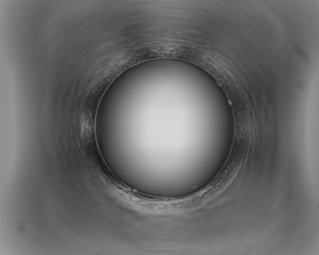 X0000115600040200911101415