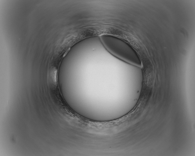 X0000115600041200911101415